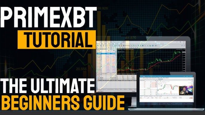 Essential Guide to PrimeXBT Strategies for Successful Trading Essential Guide to PrimeXBT Strategies for Successful Trading