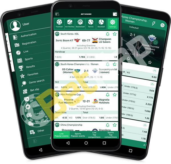 Ultimate Guide to Betting with Betwinner Nigeria
